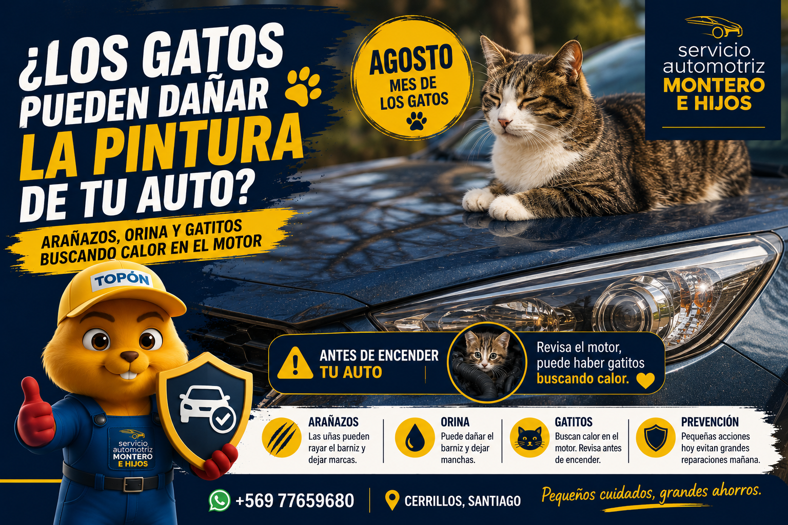 ¿Los gatos pueden arruinar la pintura de tu auto? Agosto es el mes de los gatos: protege tu vehículo de arañazos, orina y sorpresas bajo el capó